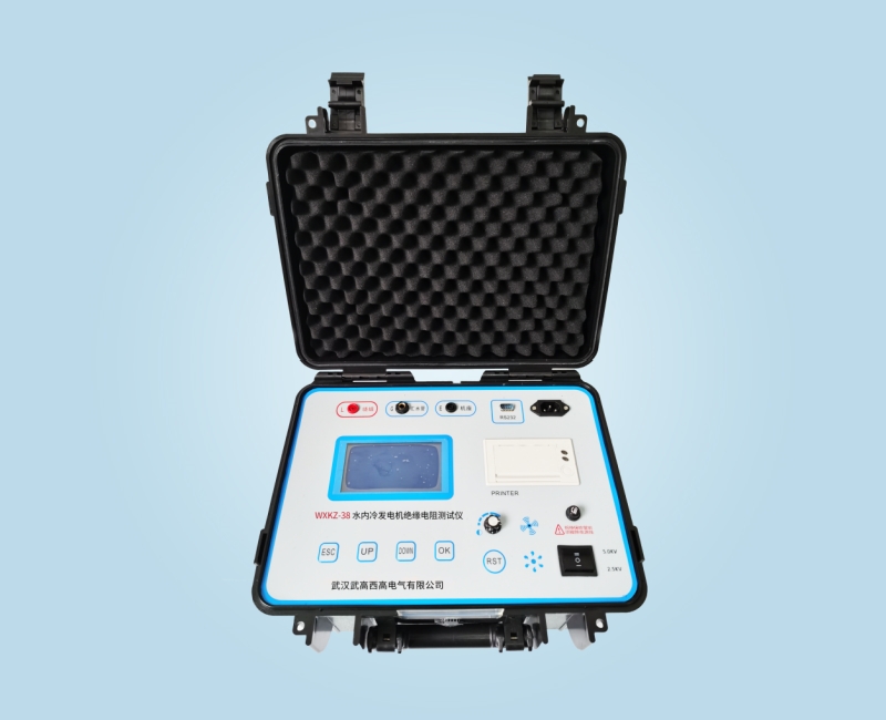 WXKZ-38 水內冷發電機絕緣電阻測試儀